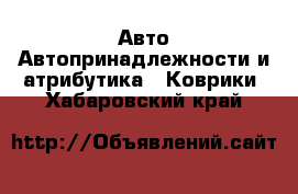 Авто Автопринадлежности и атрибутика - Коврики. Хабаровский край